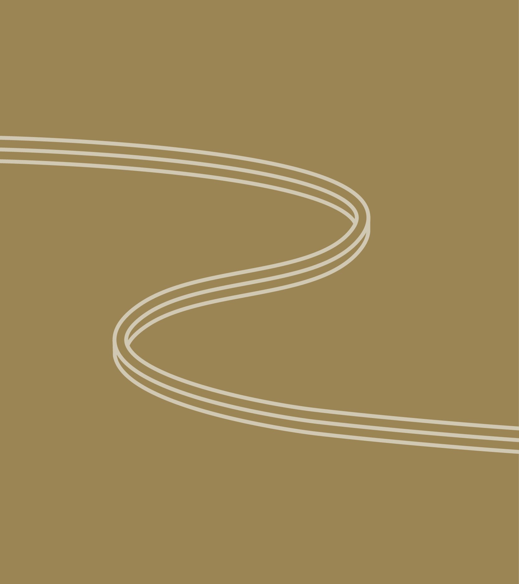 Category Banner